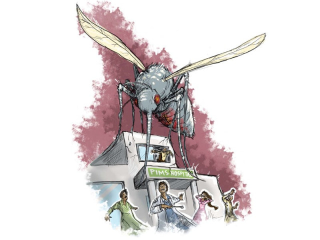 dengue threat rawalpindi hospitals put on red alert dengue threat rawalpindi hospitals put on red alert