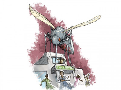 dengue outbreak three more die in punjab dengue outbreak three more die in punjab