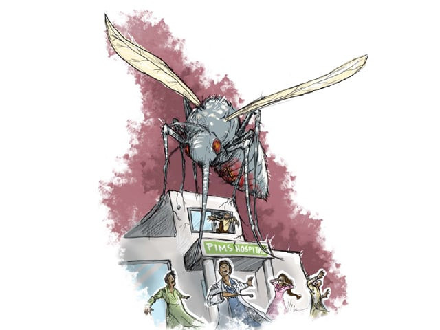 dengue outbreak three more die in punjab dengue outbreak three more die in punjab