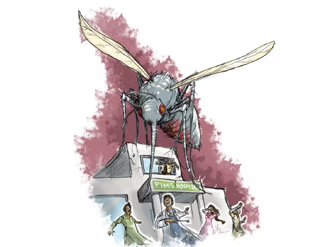dengue outbreak three more die in punjab dengue outbreak three more die in punjab