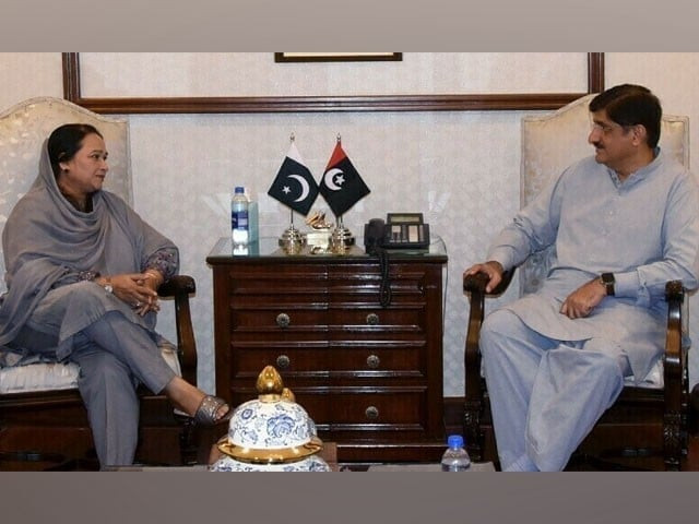 no consensus yet on caretaker cm in sindh no consensus yet on caretaker cm in sindh