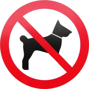 company sued as guard didn t stop stray dogs