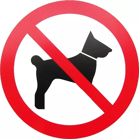 company sued as guard didn t stop stray dogs company sued as guard didn t stop stray dogs