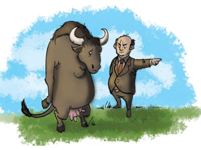 cattle eviction city to relaunch campaign cattle eviction city to relaunch campaign