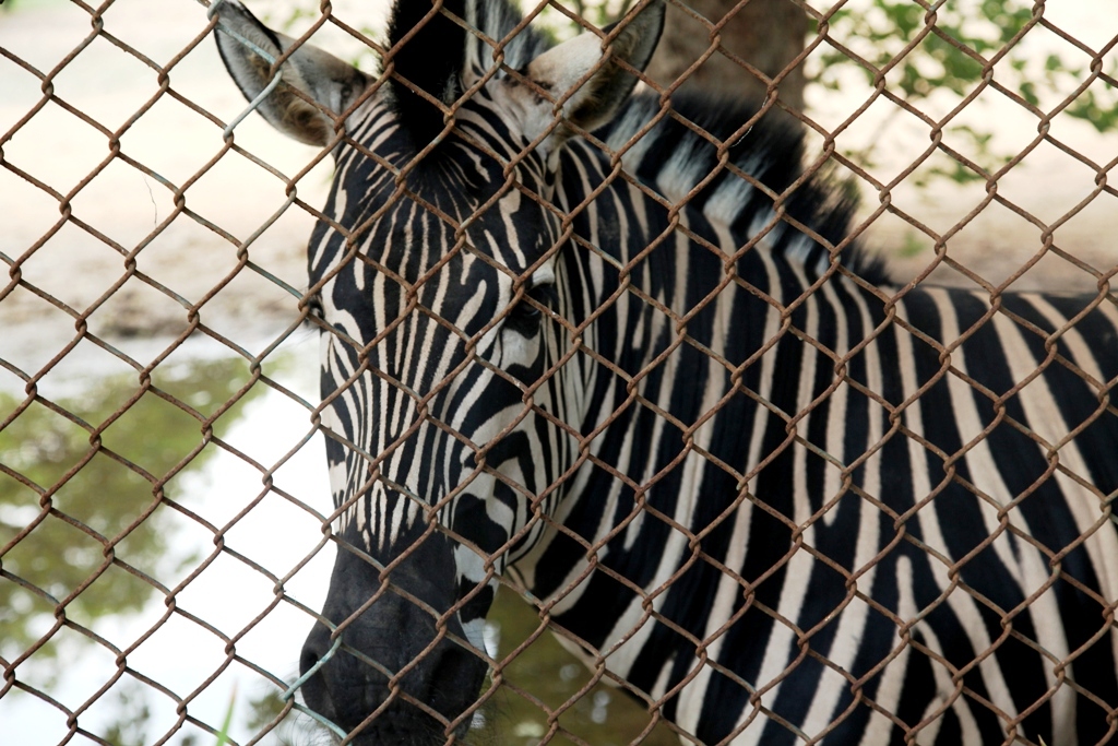 Updated Sep 16, 2011