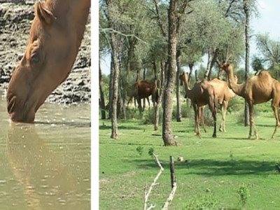 other side of the story floods a blessing in disguise other side of the story floods a blessing in disguise