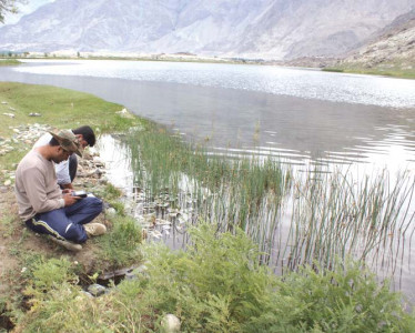 survey documenting g b s flora and fauna