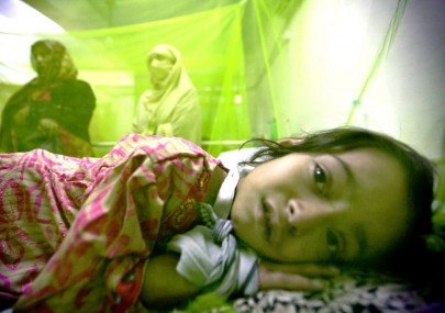 dengue section 144 imposed in lahore dengue section 144 imposed in lahore