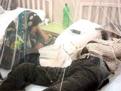 promises of a pir we can cure anything even dengue promises of a pir we can cure anything even dengue