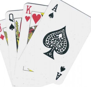 bridge players take part in online event