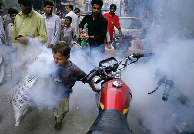 dengue six more die in lahore as punjab death toll tops 44