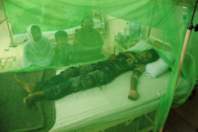 dengue threat g b ill prepared to tackle dengue