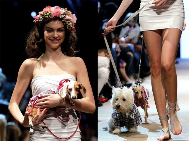 Updated Sep 22, 2011