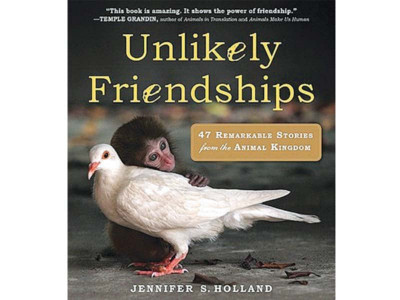 book review unlikely friendships odd couples book review unlikely friendships odd couples