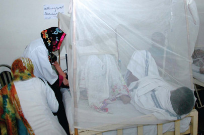 dengue outbreak cases in punjab reach 9 402 dengue outbreak cases in punjab reach 9 402