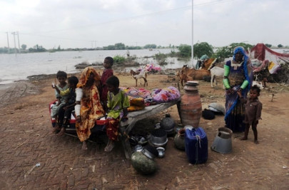 floods ravage lives cotton crop in sindh