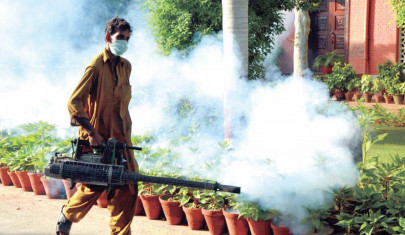 dengue outbreak 11 more deaths push toll to 88 in punjab dengue outbreak 11 more deaths push toll to 88 in punjab