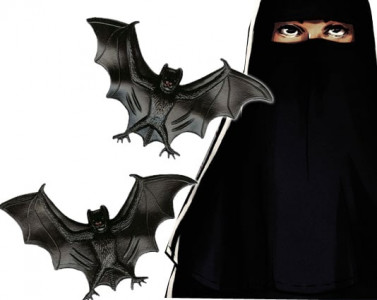 stopping dengue wear a burqa raise a bat stopping dengue wear a burqa raise a bat