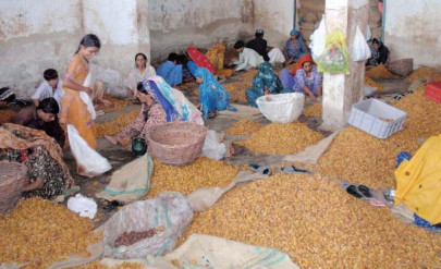 for working 10 hours a day labourers earn rs130 while children earn even less