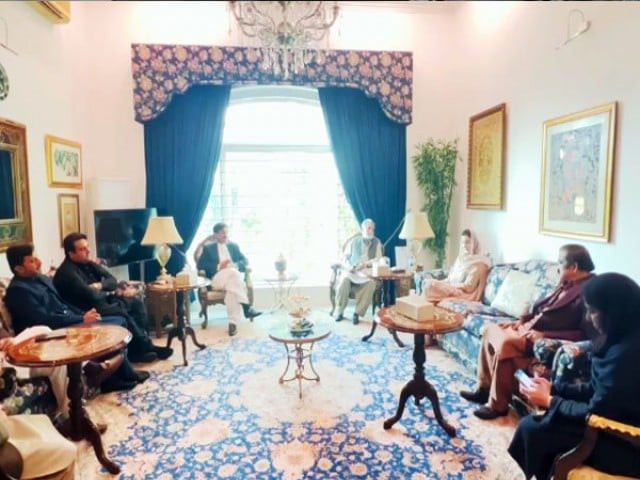 the announcement came after a meeting with maryam nawaz and rana sanaullah where the new members expressed their allegiance to the party photo express