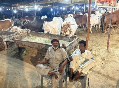 inflation drives livestock costs beyond reach