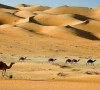 shepherd dies of dehydration after losing way in desert