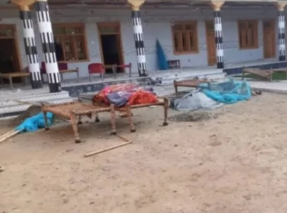 three killed in suspected drone strike