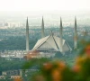 call to protect capital s shrinking green cover
