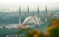 call to protect capital s shrinking green cover