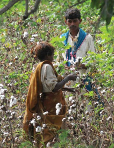 agriculture losses flooded breadbasket spells economic misery agriculture losses flooded breadbasket spells economic misery