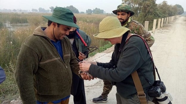 Birders save an injured bird - PHOTO COURTESY: DREAM MERCHANT STUDIOS