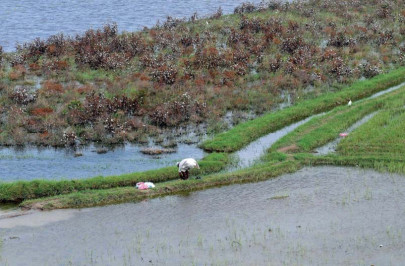 floods 2011 thousands of villages yet to be reached floods 2011 thousands of villages yet to be reached