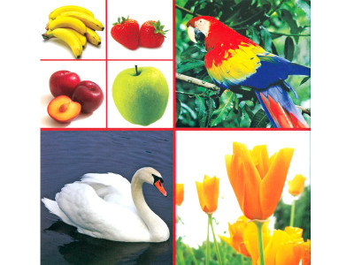 meray itnay saray rung simpler is better meray itnay saray rung simpler is better