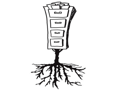 agro farms violators have it their way