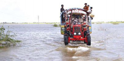 wfp may need help from donors to supply food till dec