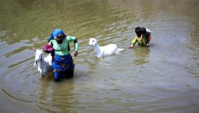 water water everywhere not a drop to drink