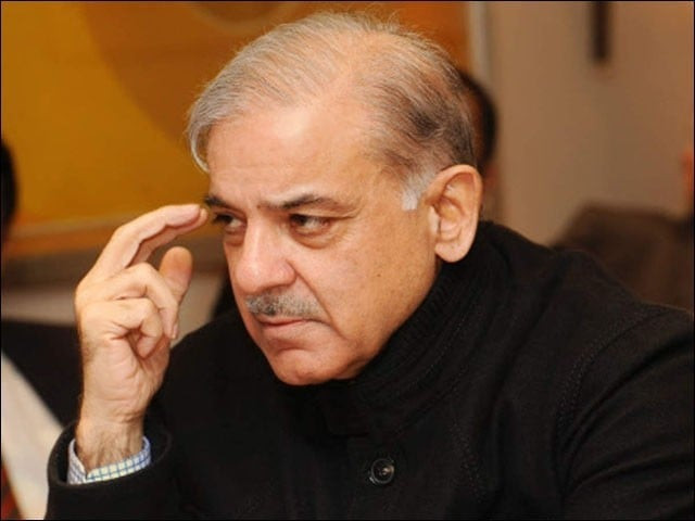 prime minister shehbaz sharif photo file prime minister shehbaz sharif photo file