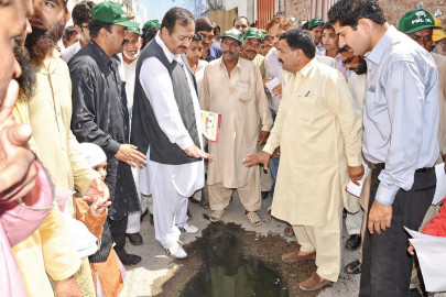ablution ponds teeming with mosquito larvae