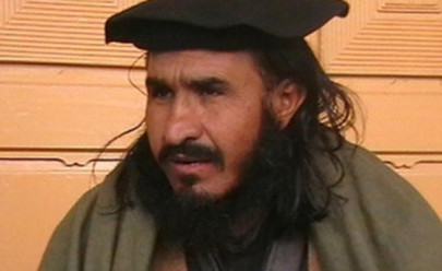 olive branch taliban welcome govt peace overtures