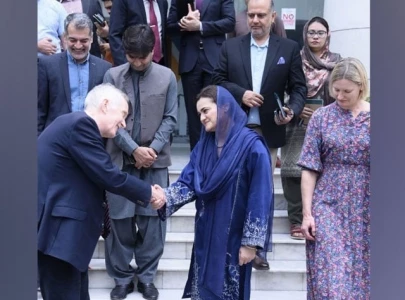 maryam aurangzeb meets global expert sir michael barber to discuss punjab reforms maryam aurangzeb meets global expert sir michael barber to discuss punjab reforms