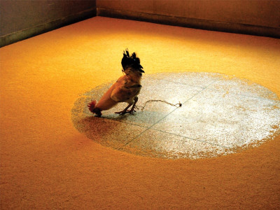 the unbearable likeness of being two artists take on reality and boundaries