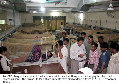 dengue death toll reaches 176 with more deaths in lahore