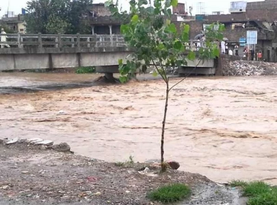 gwalmandi bridge becomes photo op hub gwalmandi bridge becomes photo op hub