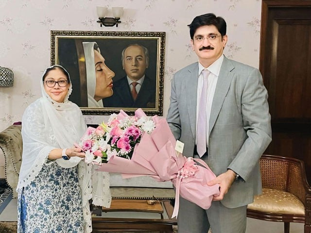 sindh chief minister murad ali shah meets faryal talpur at zardari house karachi photo express