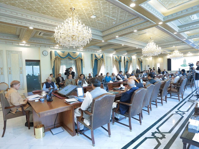 pm approves us delegation funding for aafia pm approves us delegation funding for aafia