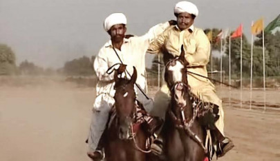 horsing around the provinces finally dancing in sync