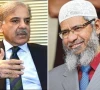 ummah is proud of you pm shehbaz meets dr zakir naik ummah is proud of you pm shehbaz meets dr zakir naik