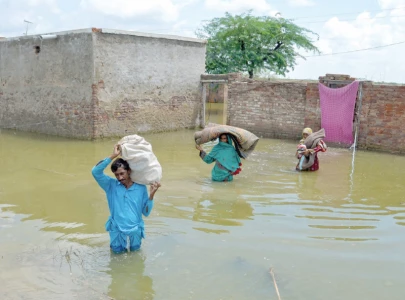 rainfall surged by 51 this year rainfall surged by 51 this year