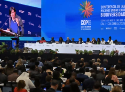 un biodiversity summit opens in colombia un biodiversity summit opens in colombia