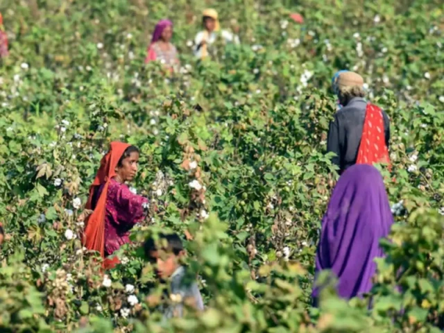 pbf urges budget relief for agriculture